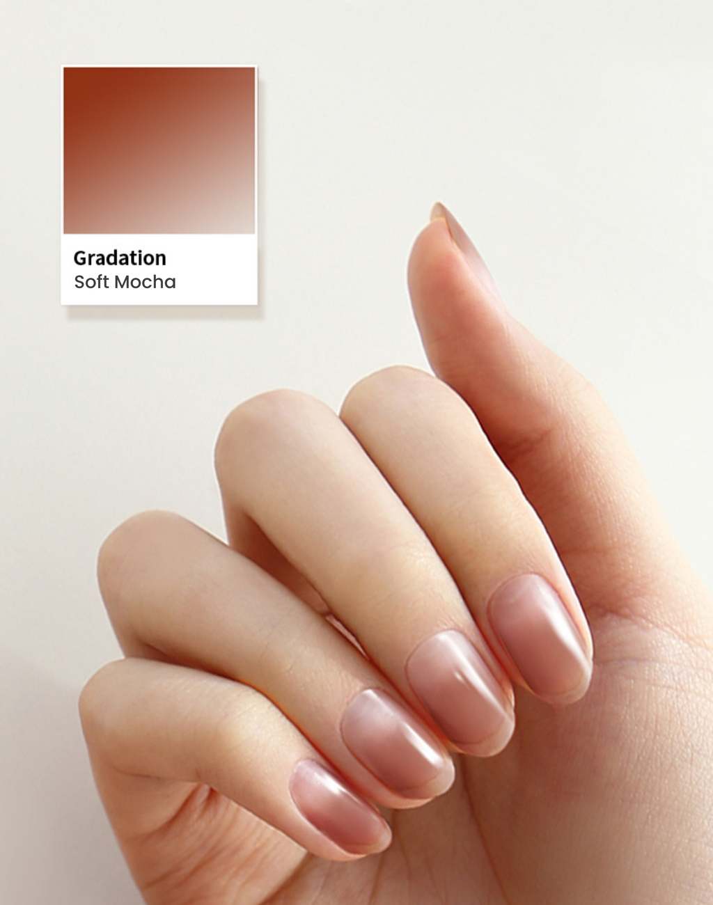 Gradation #10 — Soft Mocha