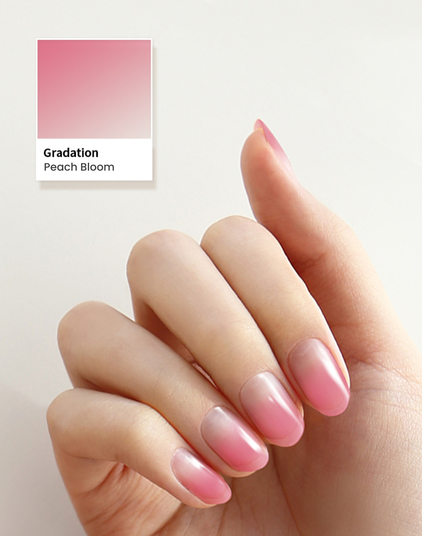 Gradation #02 — Peach Bloom
