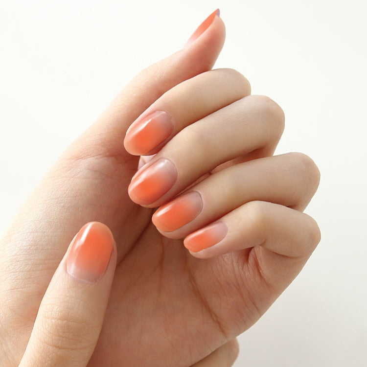 Gradation #03 — Coral Dew