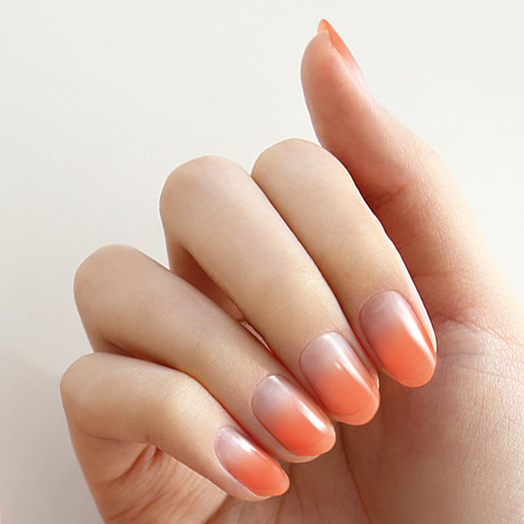 Gradation #03 — Coral Dew