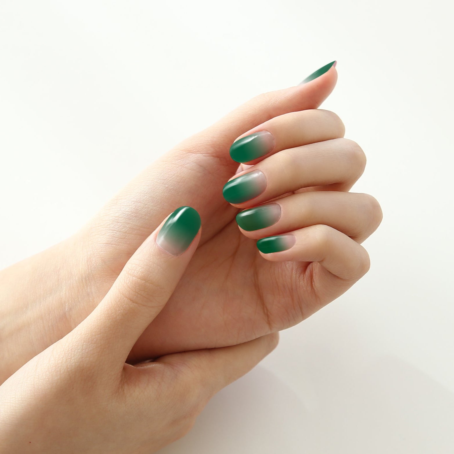 Gradation #06 — Deep Green