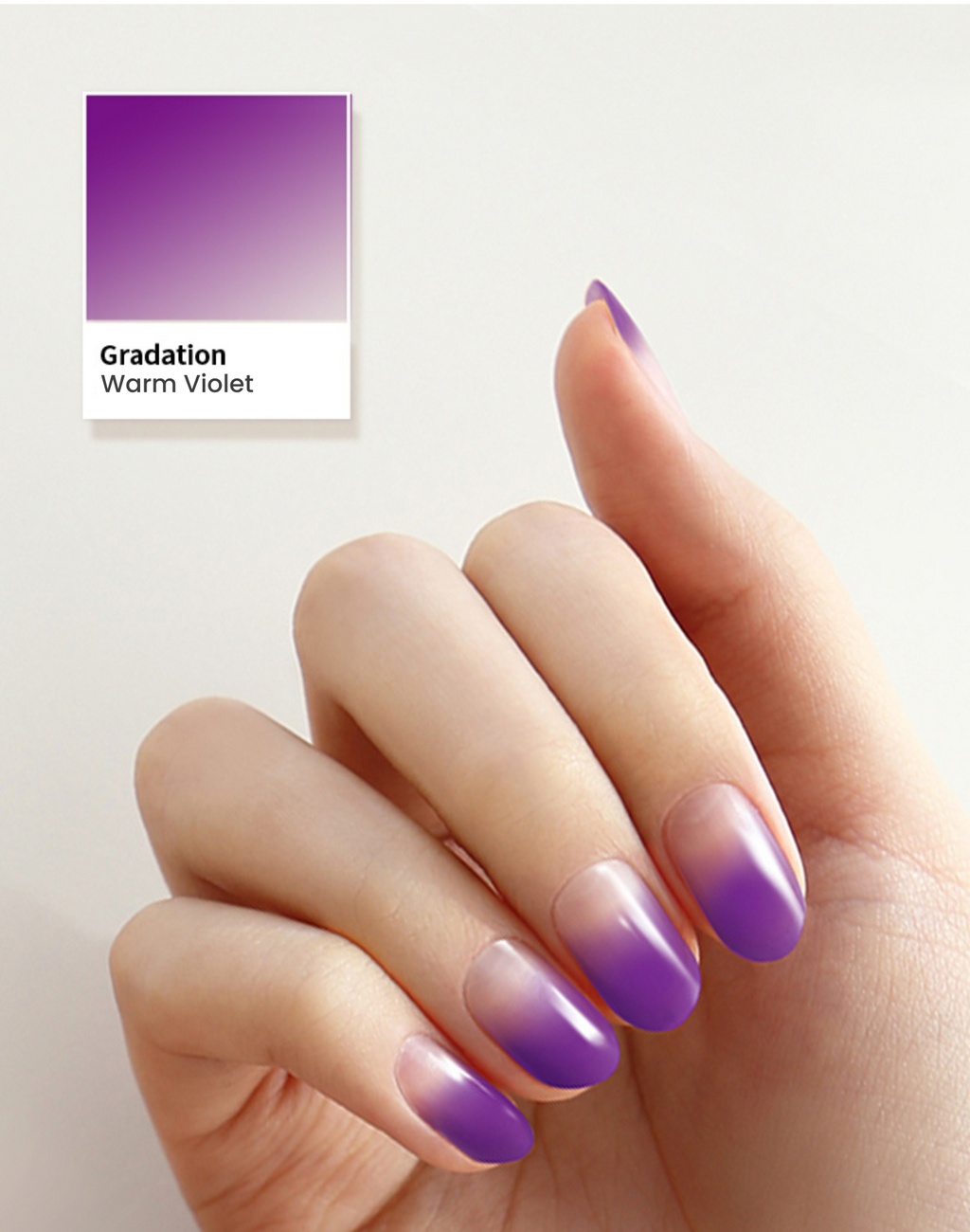 Gradation #07 — Warm Violet