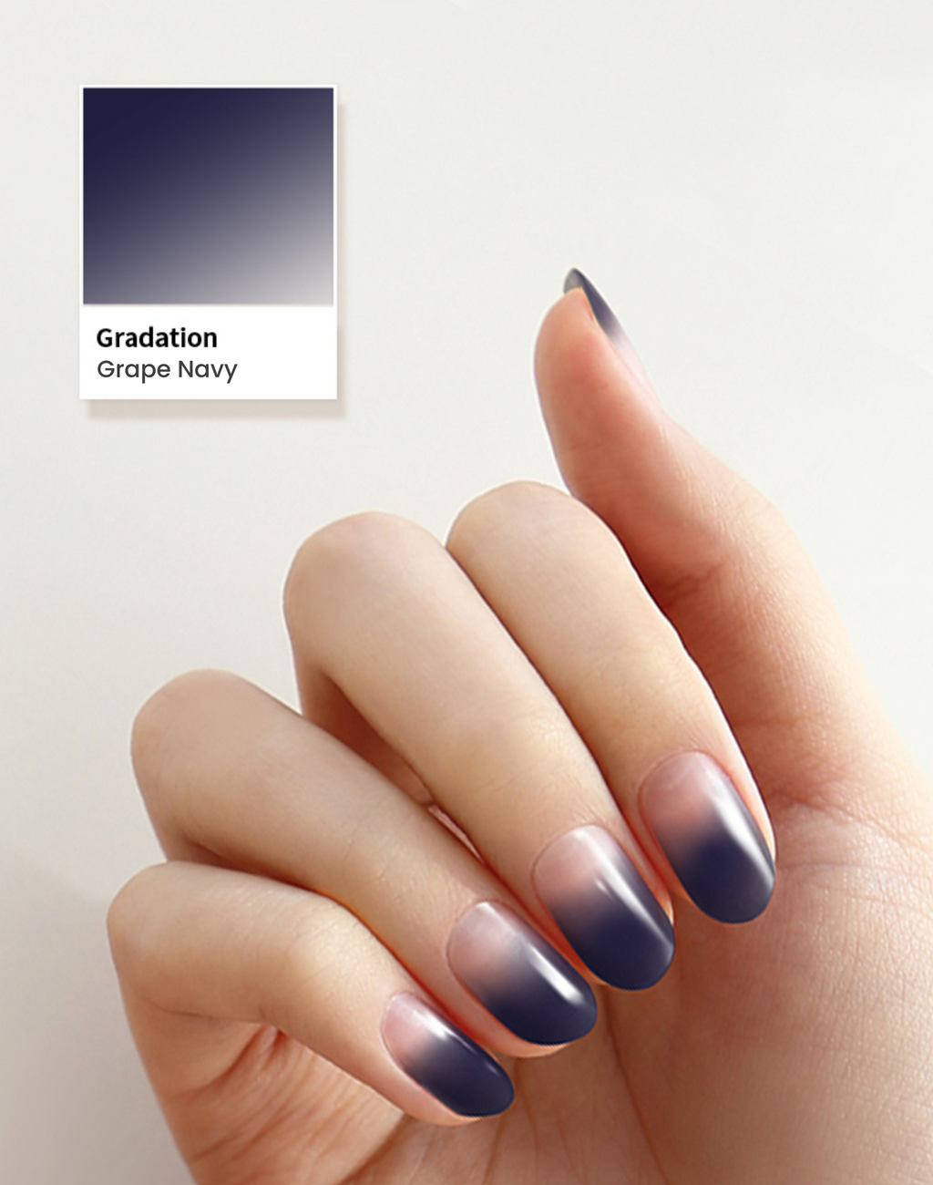 Gradation #15 — Grape Navy