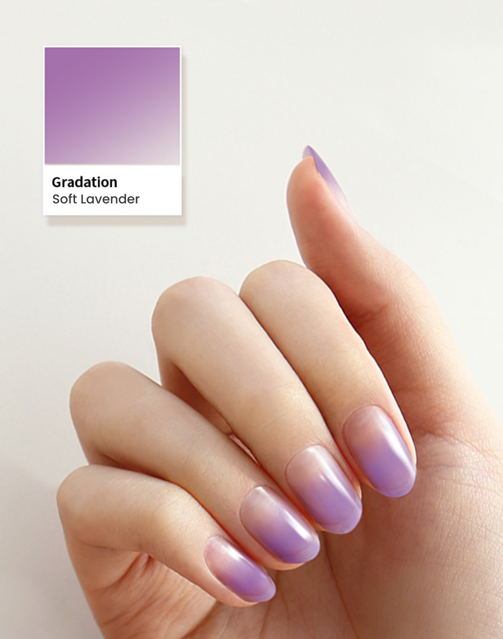 Gradation #09 — Soft Lavender