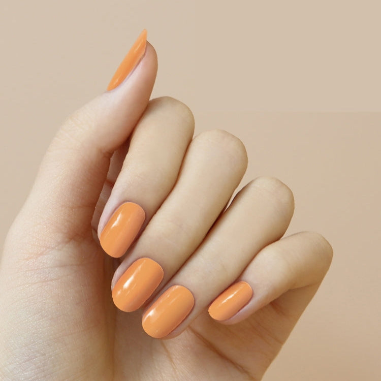 Solid #01 — Apricot Pop