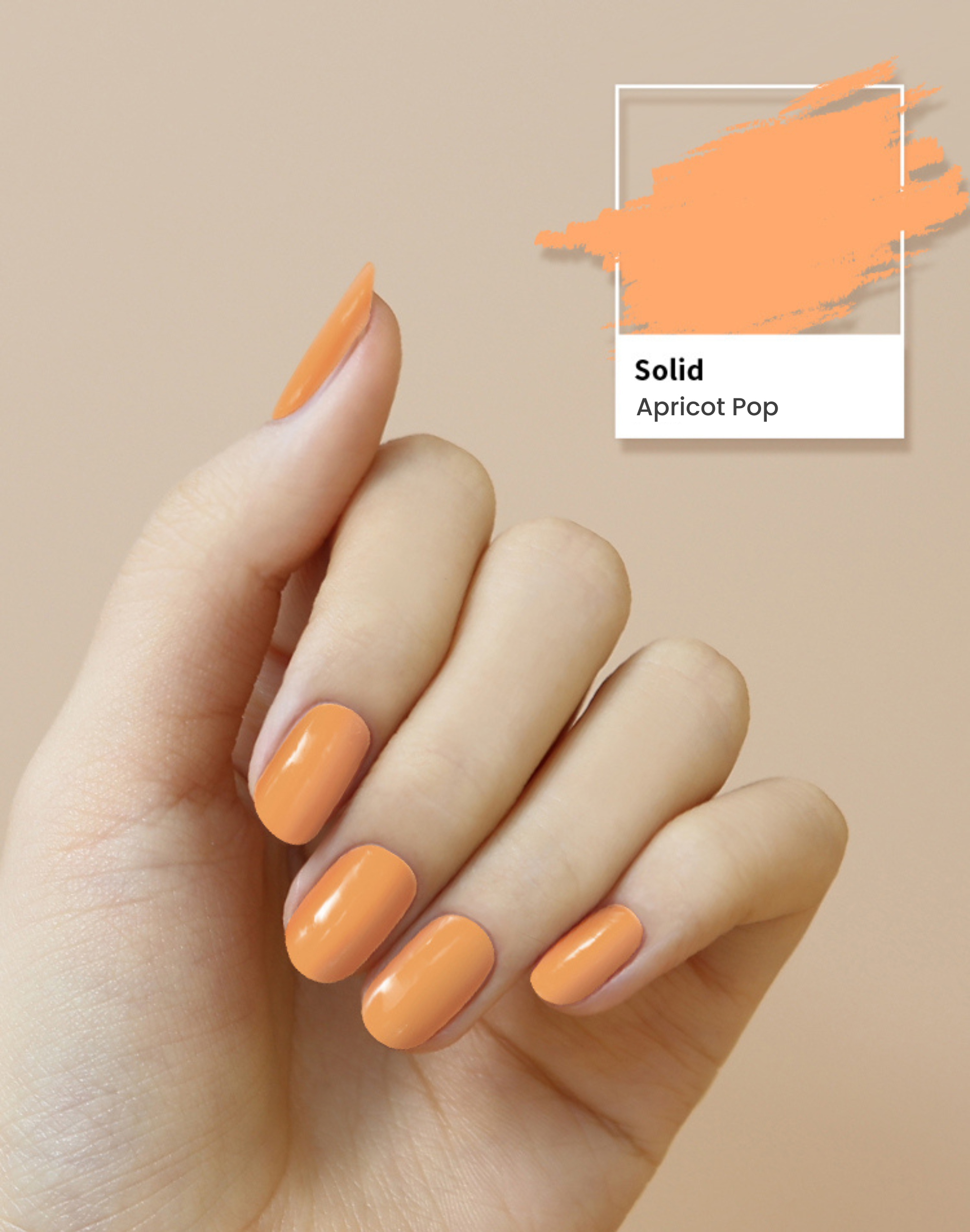 Solid #01 — Apricot Pop