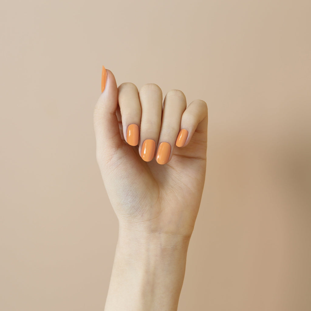 Solid #01 — Apricot Pop