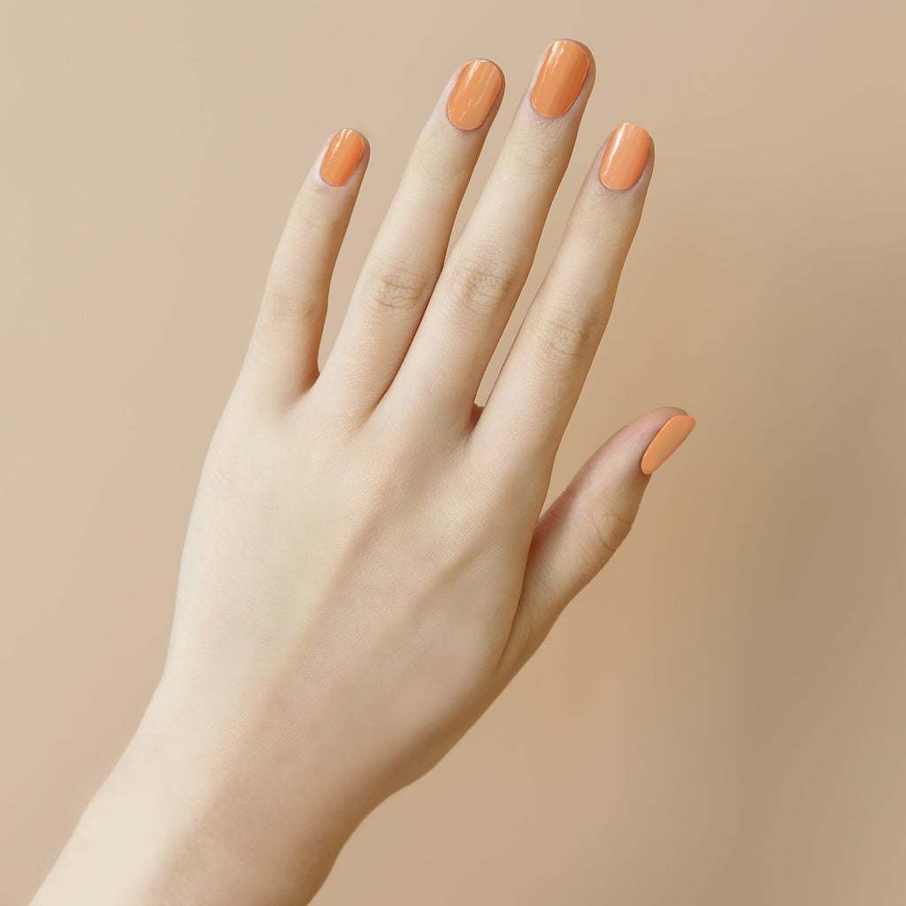 Solid #01 — Apricot Pop