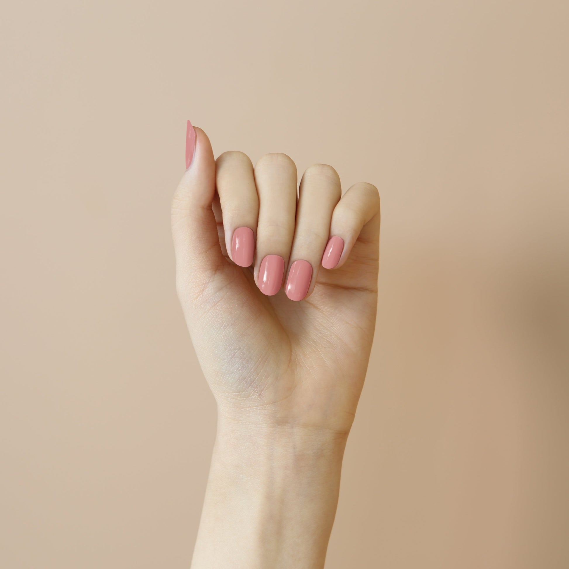 Solid #04 — Petal Pink